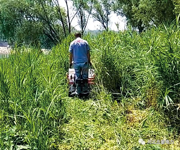 瓦尔特·御虹”WX-800型履带自行走式堤防割草机